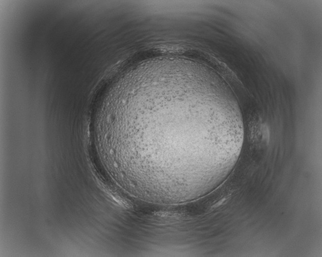 X0000073840733200608241016