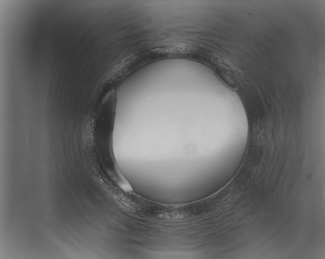 X0000073840735200608241016