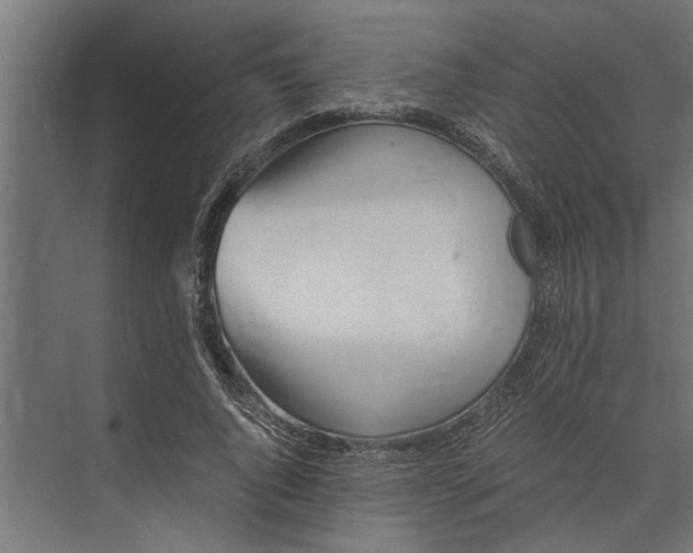 X0000073840736200608241016