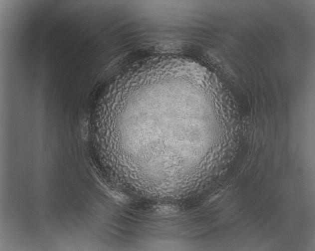 X0000073840741200608241016