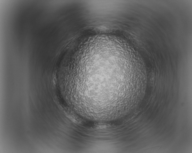 X0000073840746200608241016