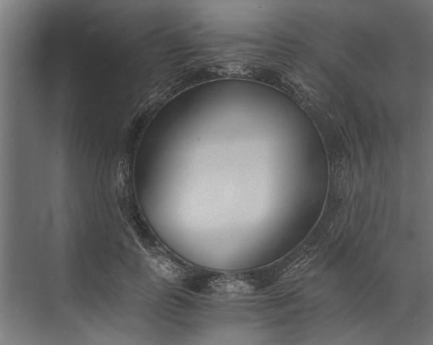 X0000073840747200608241016