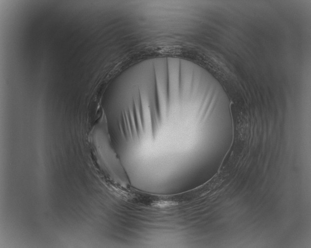 X0000073840748200608241016