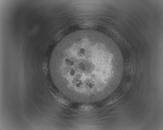 X0000073840749200608241016