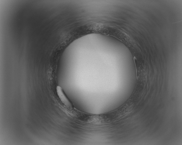 X0000073840750200608241016