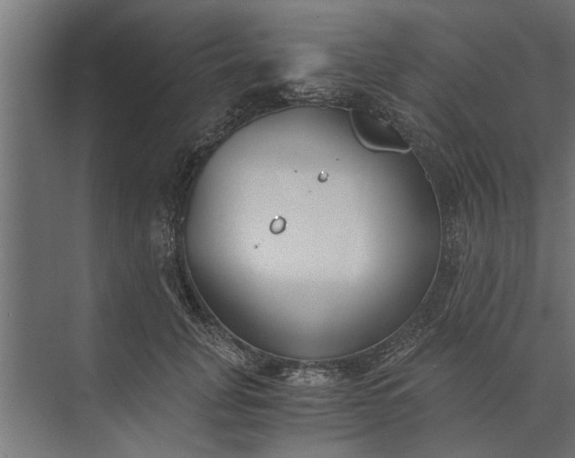 X0000073840751200608241016