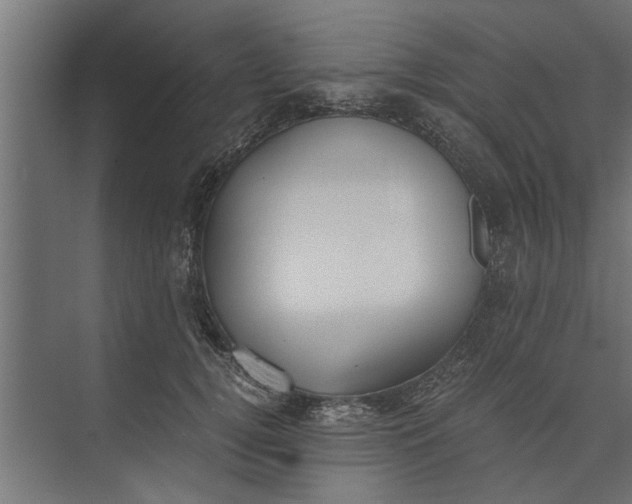 X0000073840752200608241016