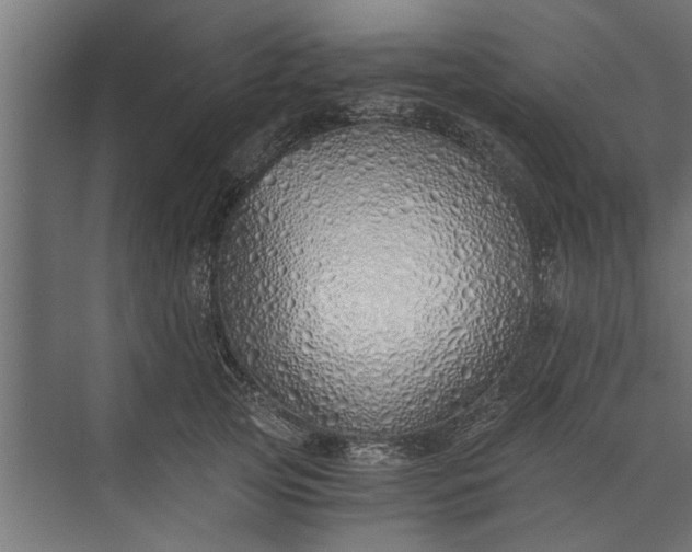 X0000073840753200608241016