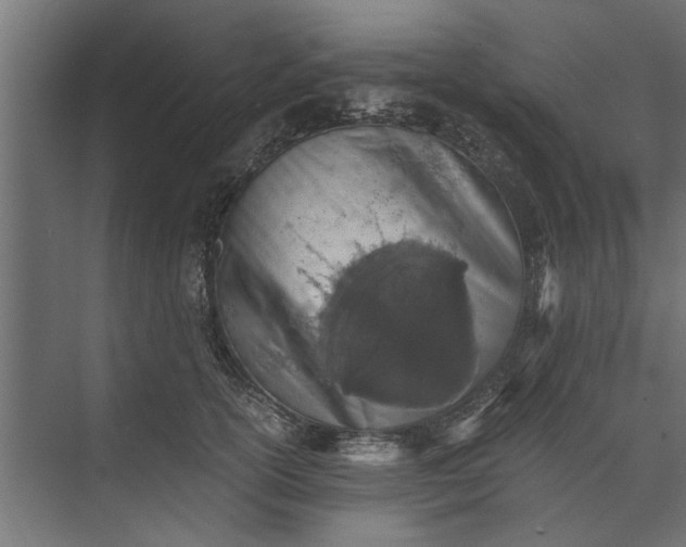 X0000073840754200608241016