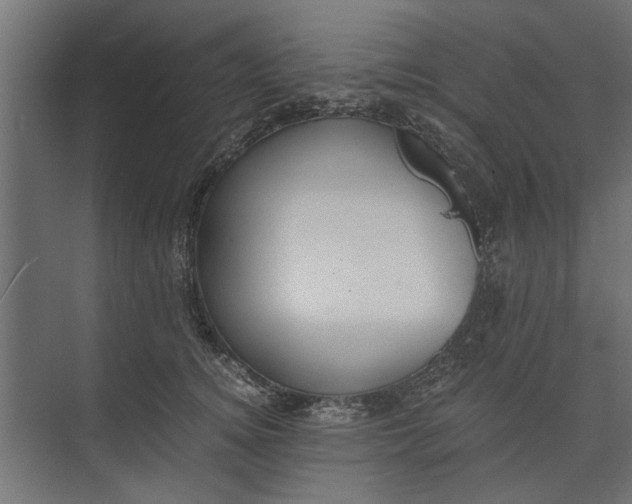 X0000073840756200608241016