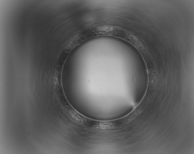 X0000073840758200608241016