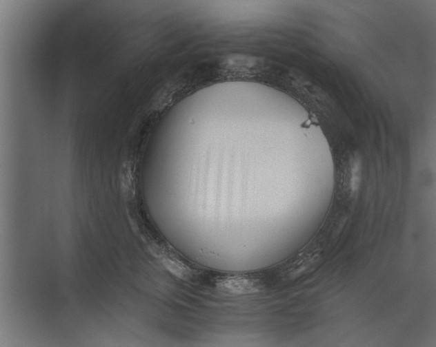 X0000073840759200608241016