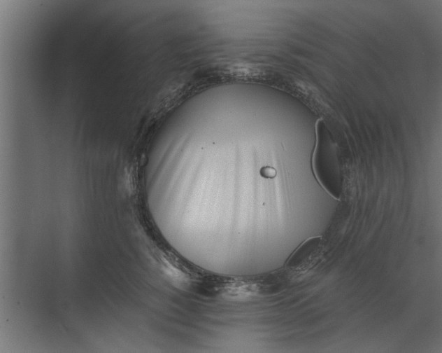 X0000073840760200608241016