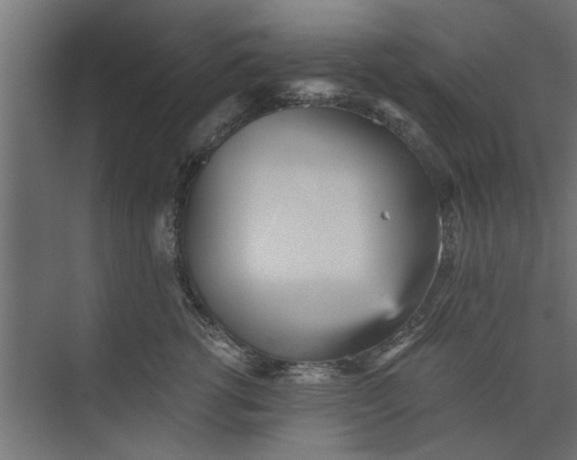 X0000073840762200608241016