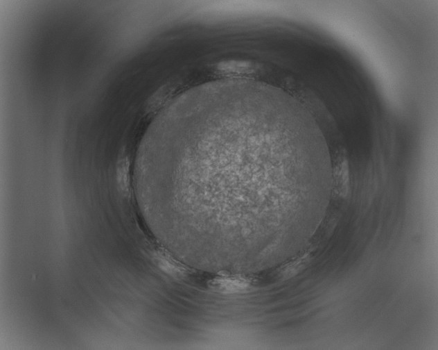 X0000073840765200608241017