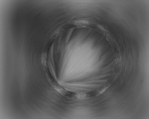 X0000073840767200608241017