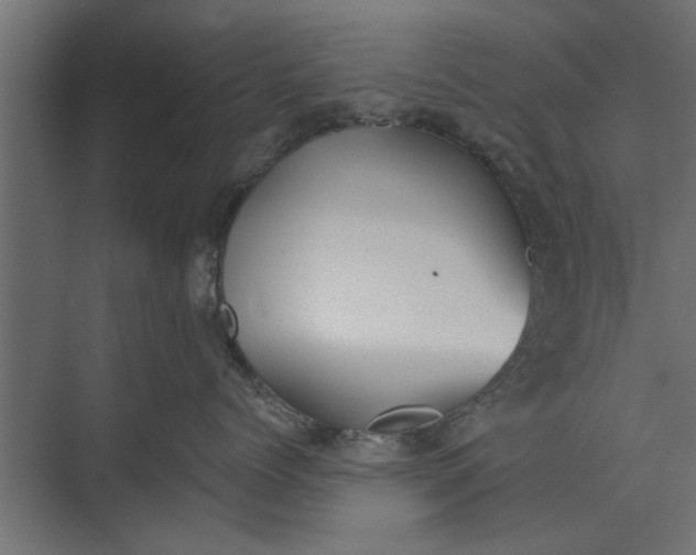 X0000073840768200608241017