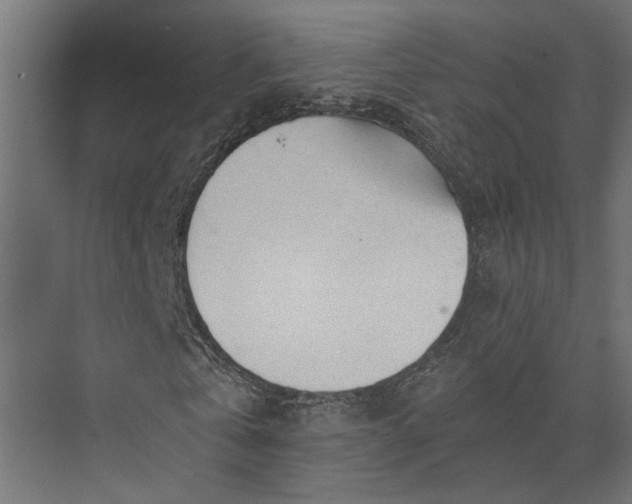 X0000073840769200608241016