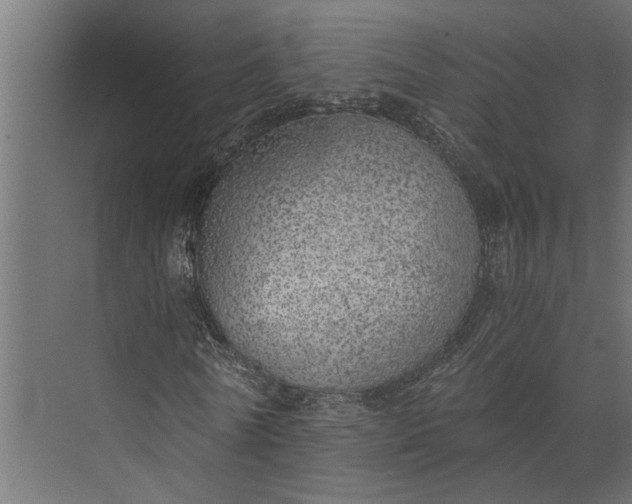 X0000073840770200608241016