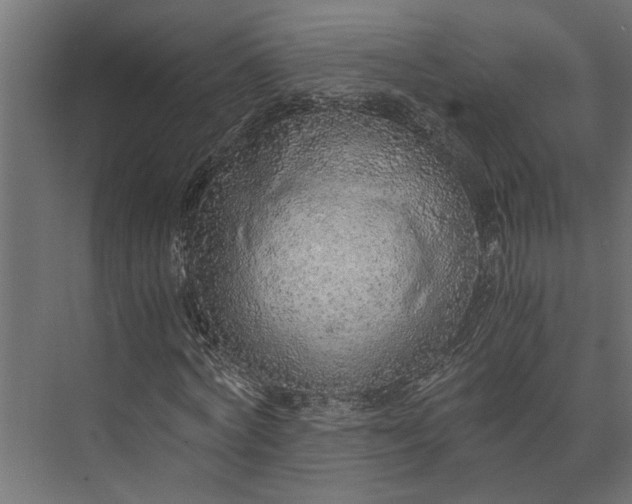 X0000073840772200608241016