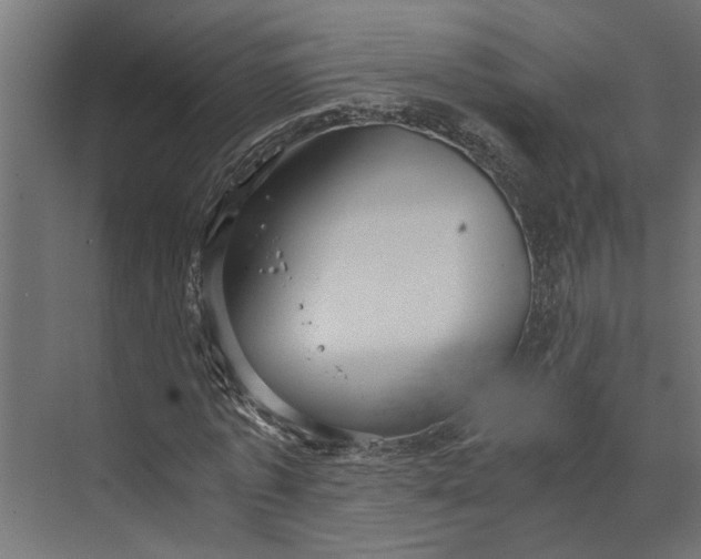 X0000073840773200608241016