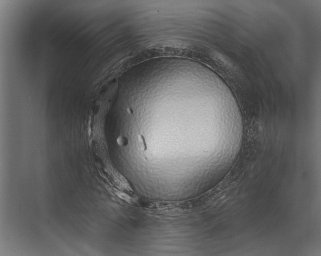 X0000073840774200608241016