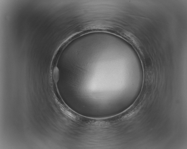 X0000073840779200608241016