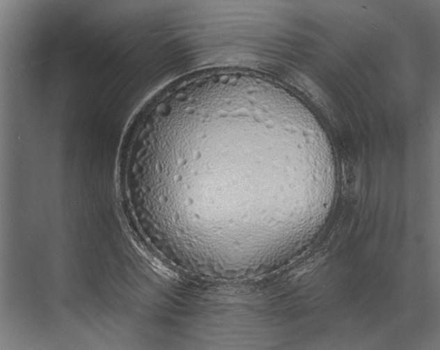 X0000073840780200608241016