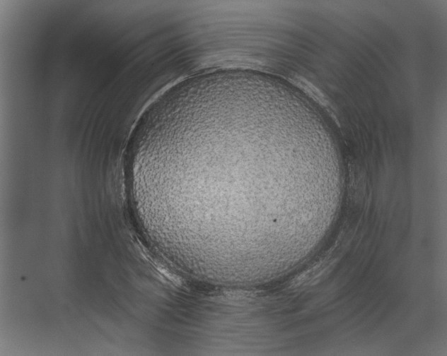 X0000073840782200608241016