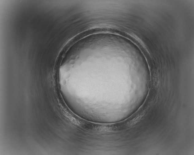 X0000073840783200608241015