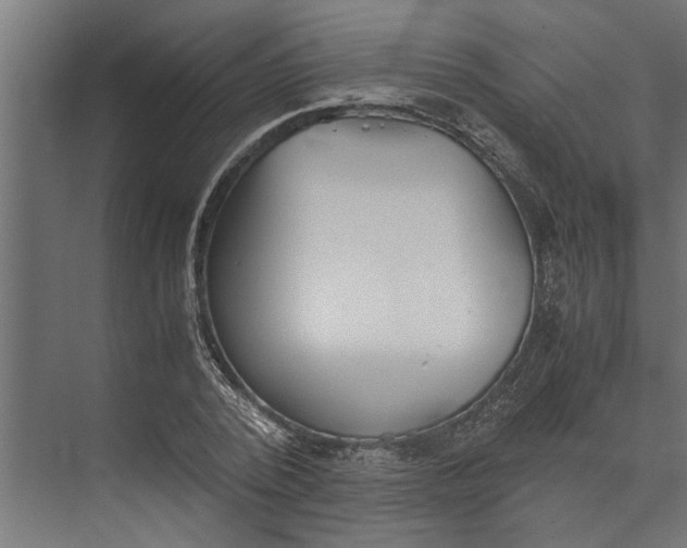 X0000073840784200608241015