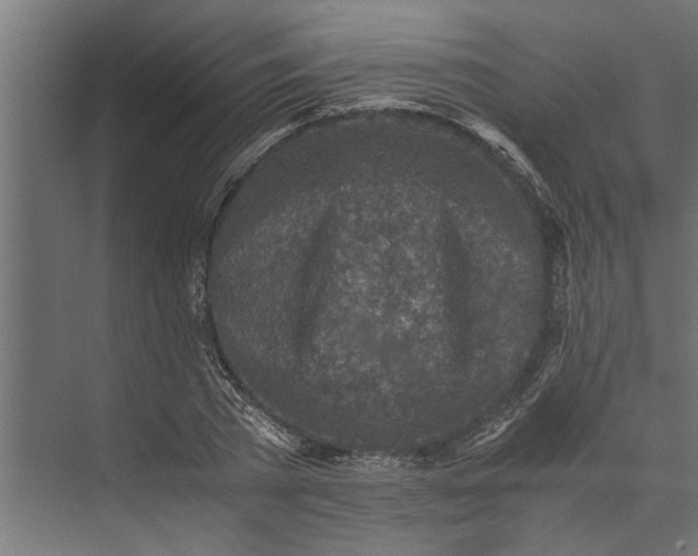 X0000073840785200608241015