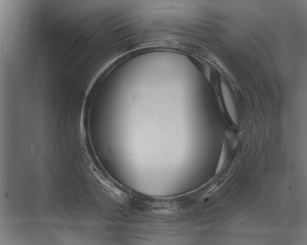 X0000073840788200608241015