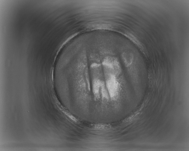 X0000073840790200608241015