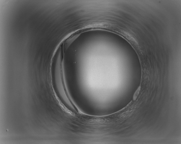 X0000073840792200608241015