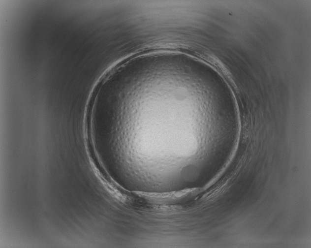 X0000073840795200608241015