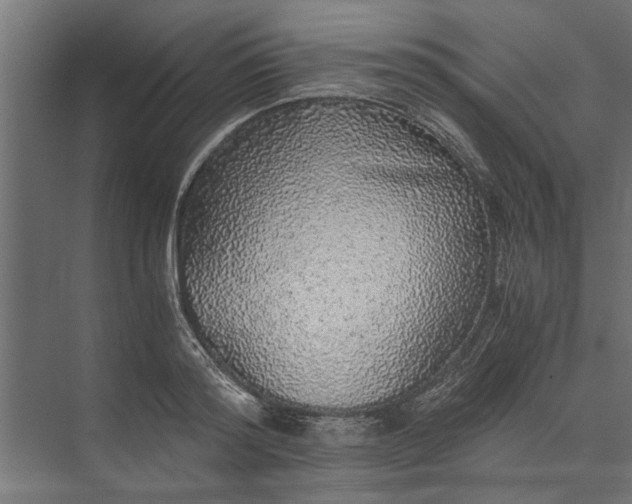 X0000073840796200608241015