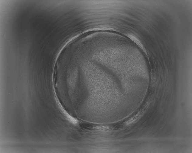 X0000073840797200608241015