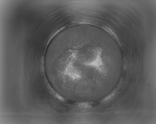 X0000073840798200608241015