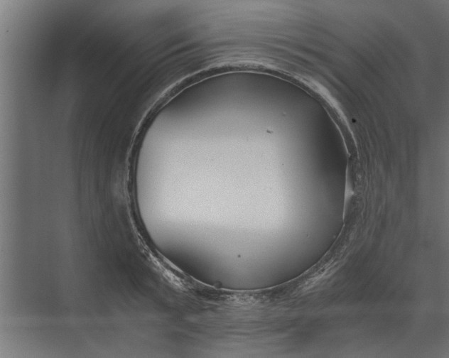 X0000073840799200608241015