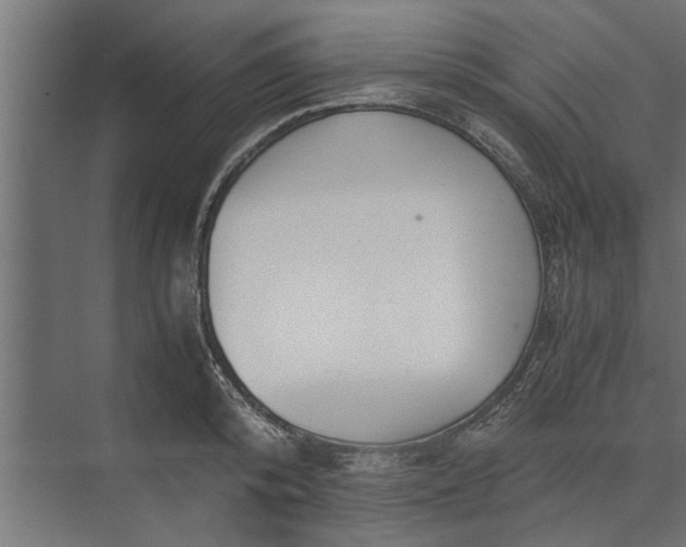 X0000073840800200608241015