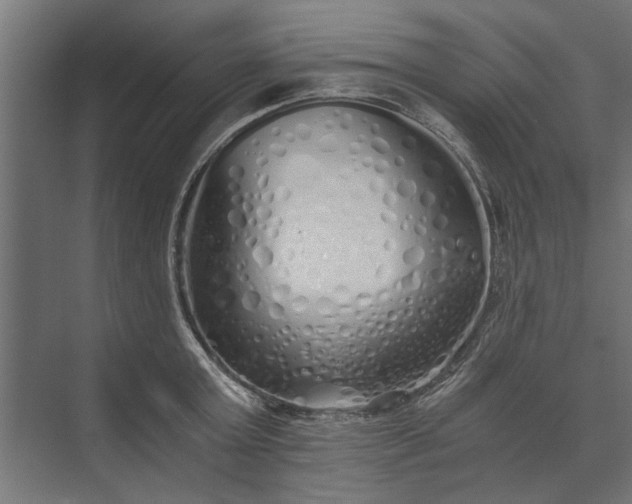 X0000073840803200608241015