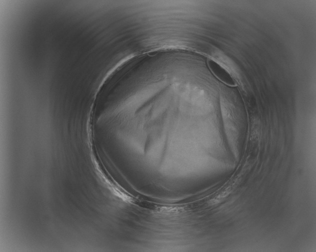 X0000073840806200608241015