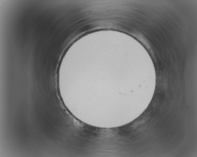 X0000073840807200608241015