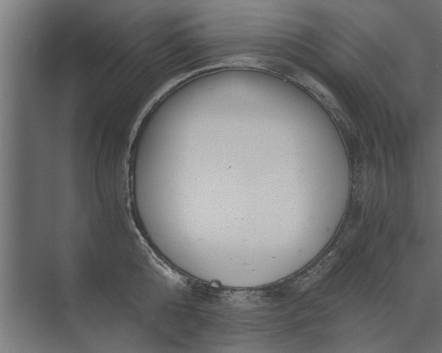 X0000073840808200608241015