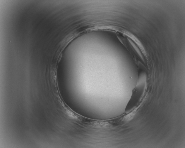 X0000073840809200608241015