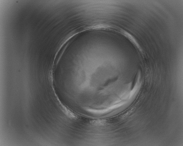 X0000073840810200608241015