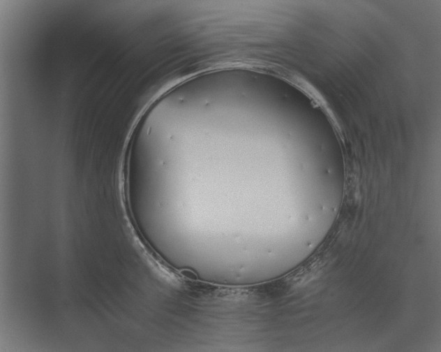 X0000073840811200608241015