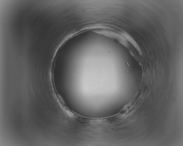 X0000073840813200608241015