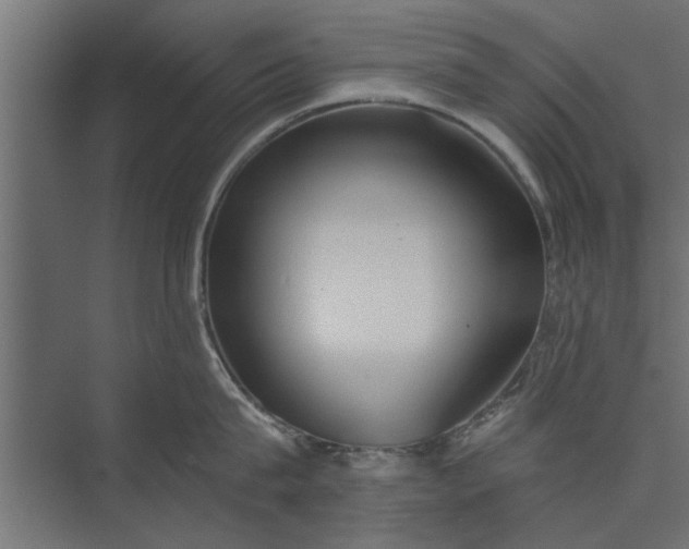 X0000073840815200608241015